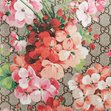 gucci with flowers|gucci flower wallpaper.